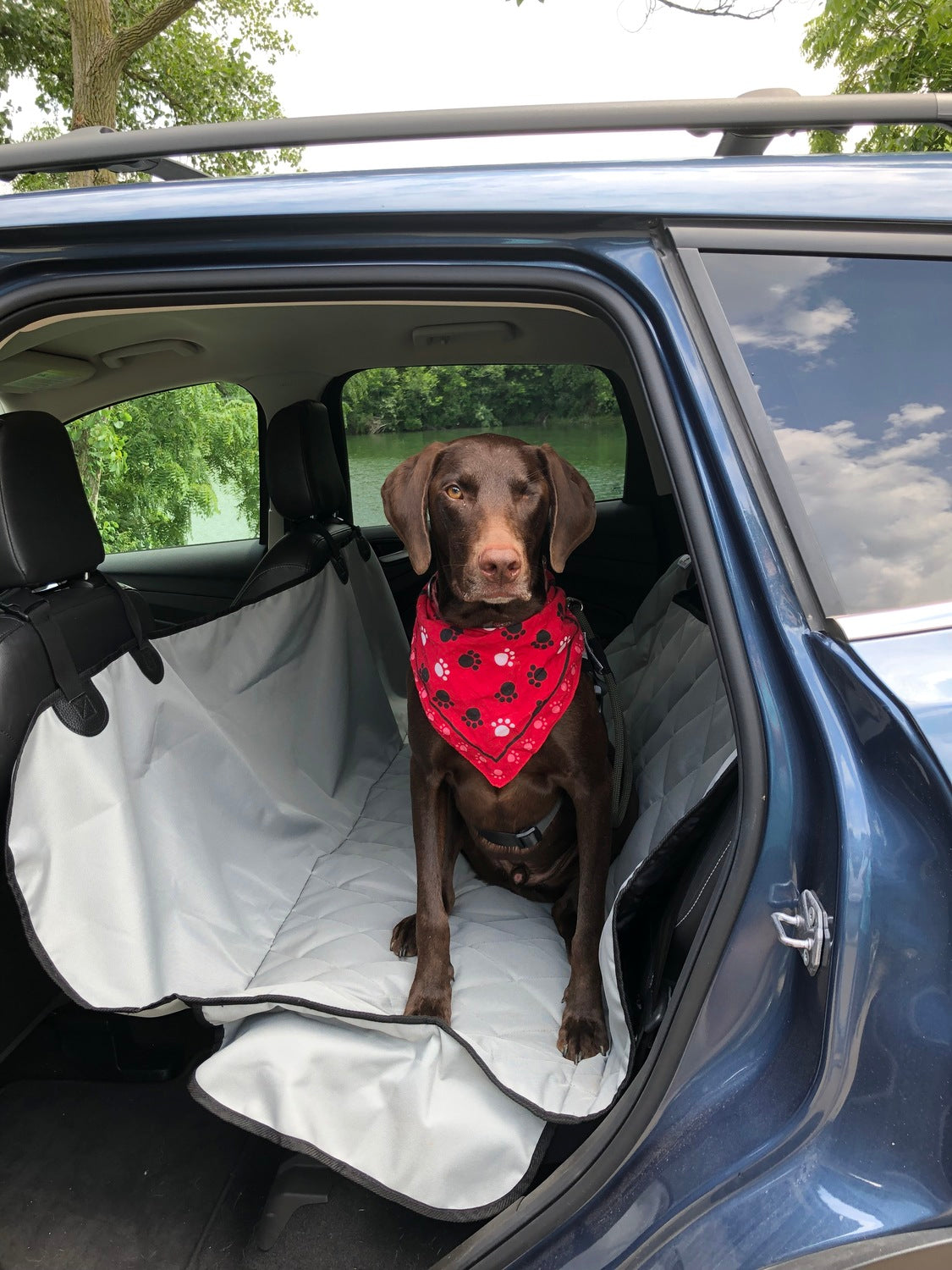 Rear Seat Cover with Hammock