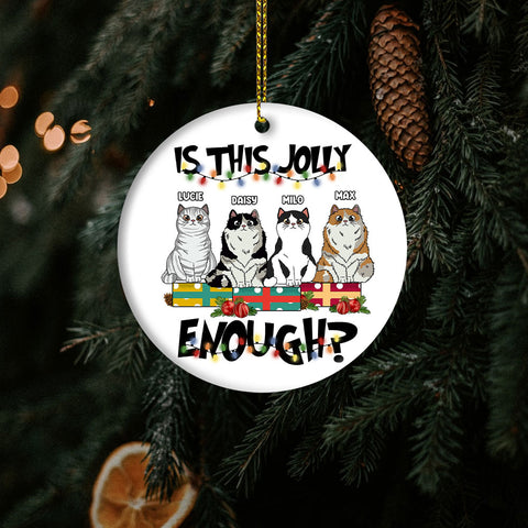 Christmas Personalized Ornament For Cat Lovers