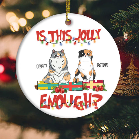 Red Christmas Personalized Ornament For Cat Lovers