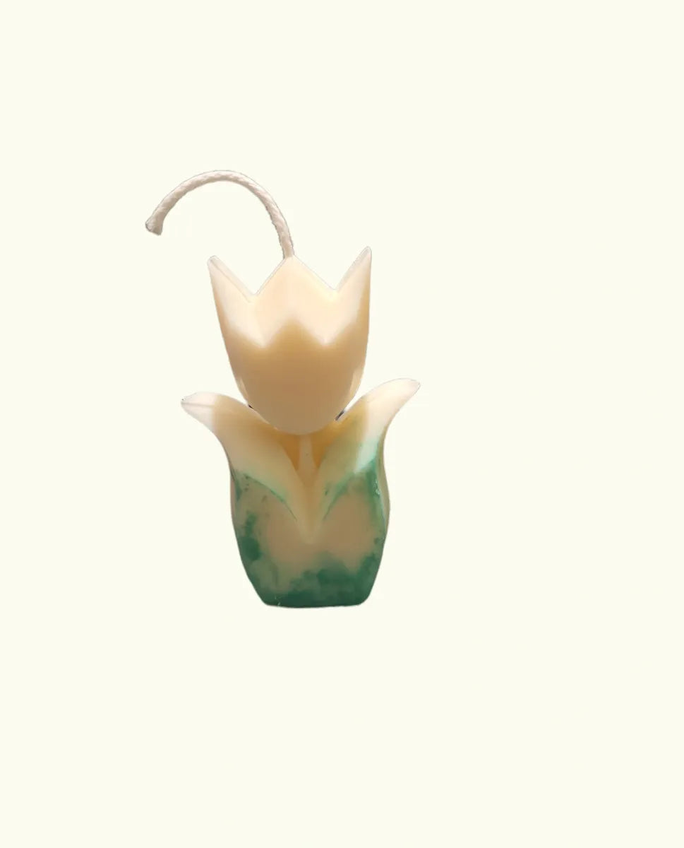 Tulip