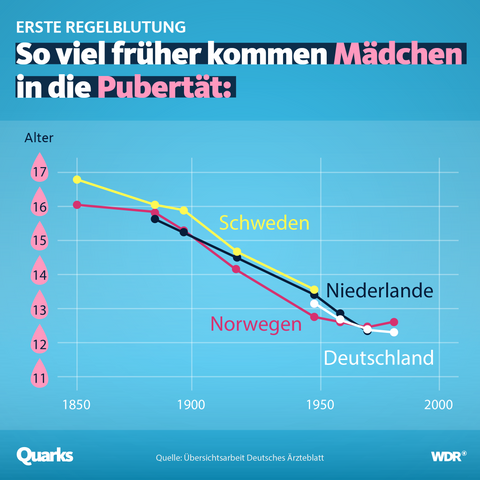 Übersichtsgraph erste Regelblutung nach Alter zwischen 1850 und 2000 Vergleich zwischen Schweden Norwegen Niederlande und Deutschland