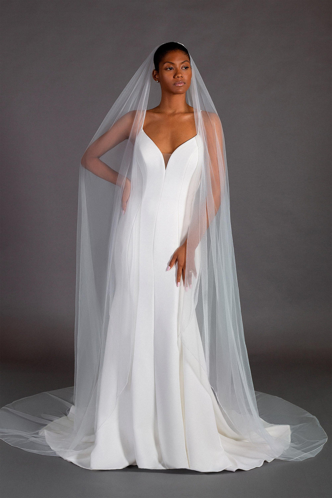 Alencon Lace Edge Cathedral Tulle Ivory Wedding Veil, Simple Long Bridal  Veil – Simibridaldresses