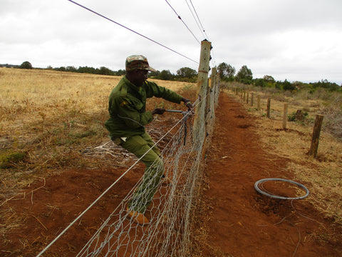 fencing, mount kenya, rangers