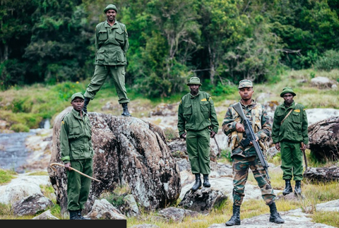 rangers, mount kena trust, mount kenya, conservation