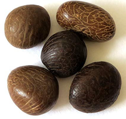 Tagua Seeds