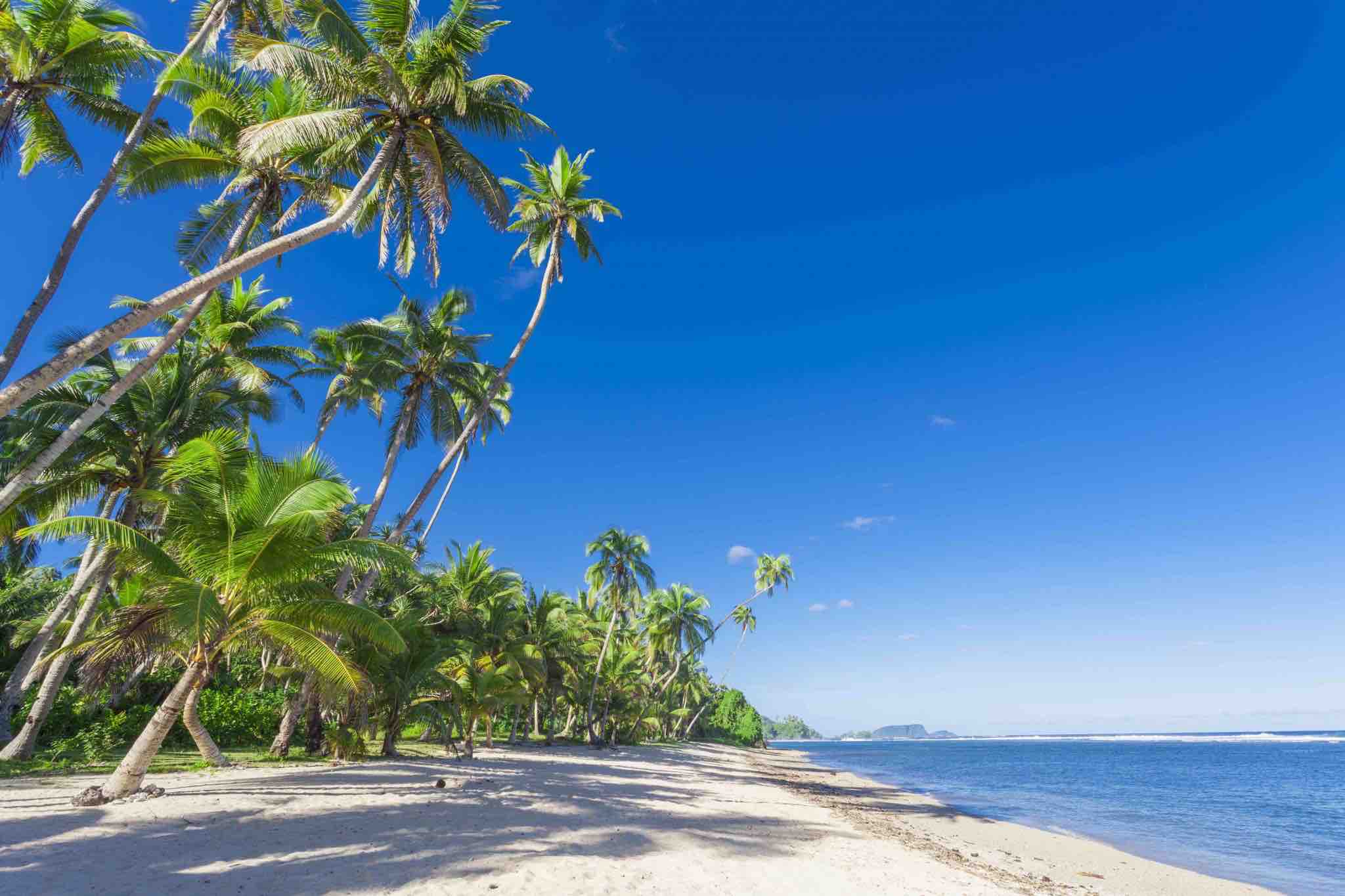 zika free south pacific islands