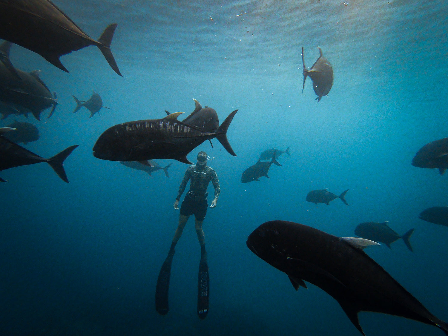 Rusty Freediving SSI Freediving Courses Perth WA