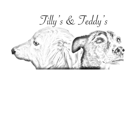 Tilly's and Teddy's dog supplies logo