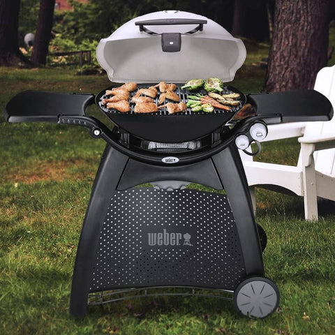 weber q open bbq