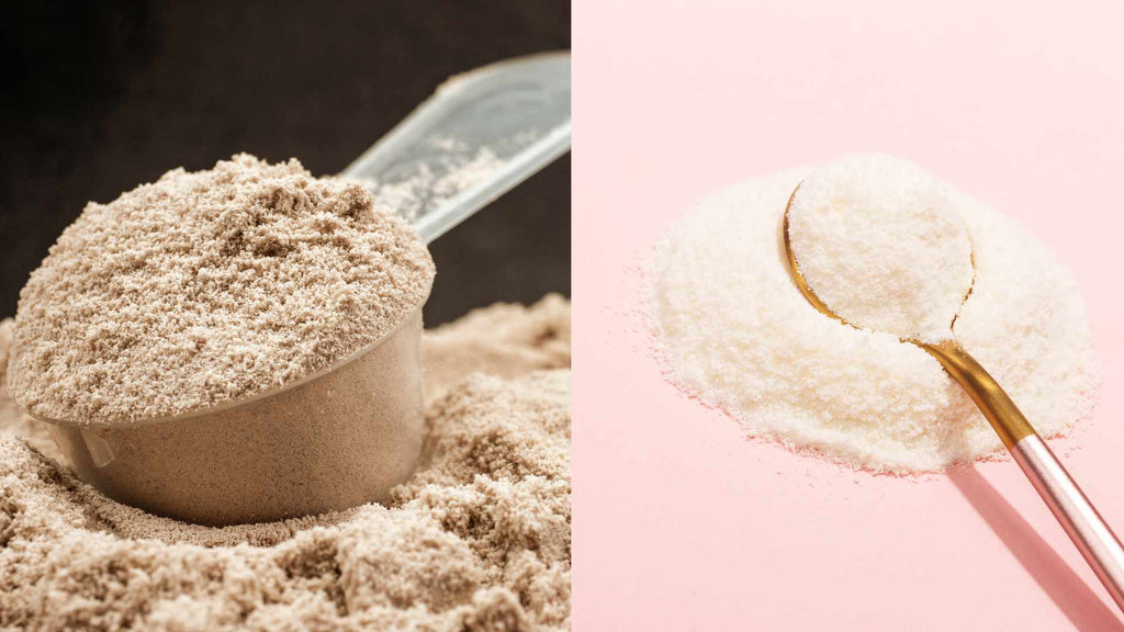 collagen-protein-vs-whey-protein