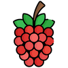 Raspberry