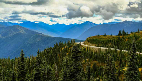 beautiful mountain road with clouds and pine trees