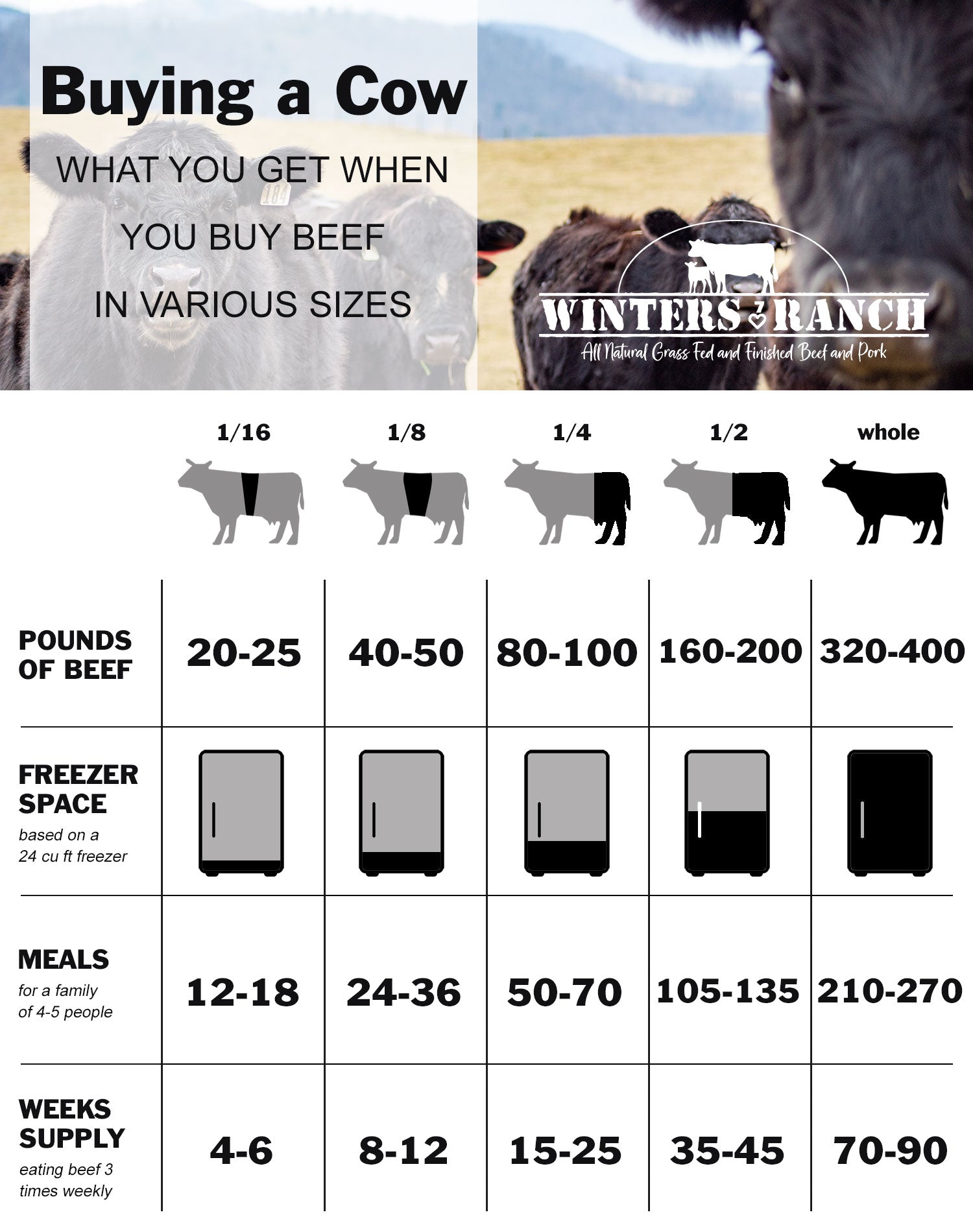 image that shows how much beef purchasing a whole cow or portions of a whole cow will give you