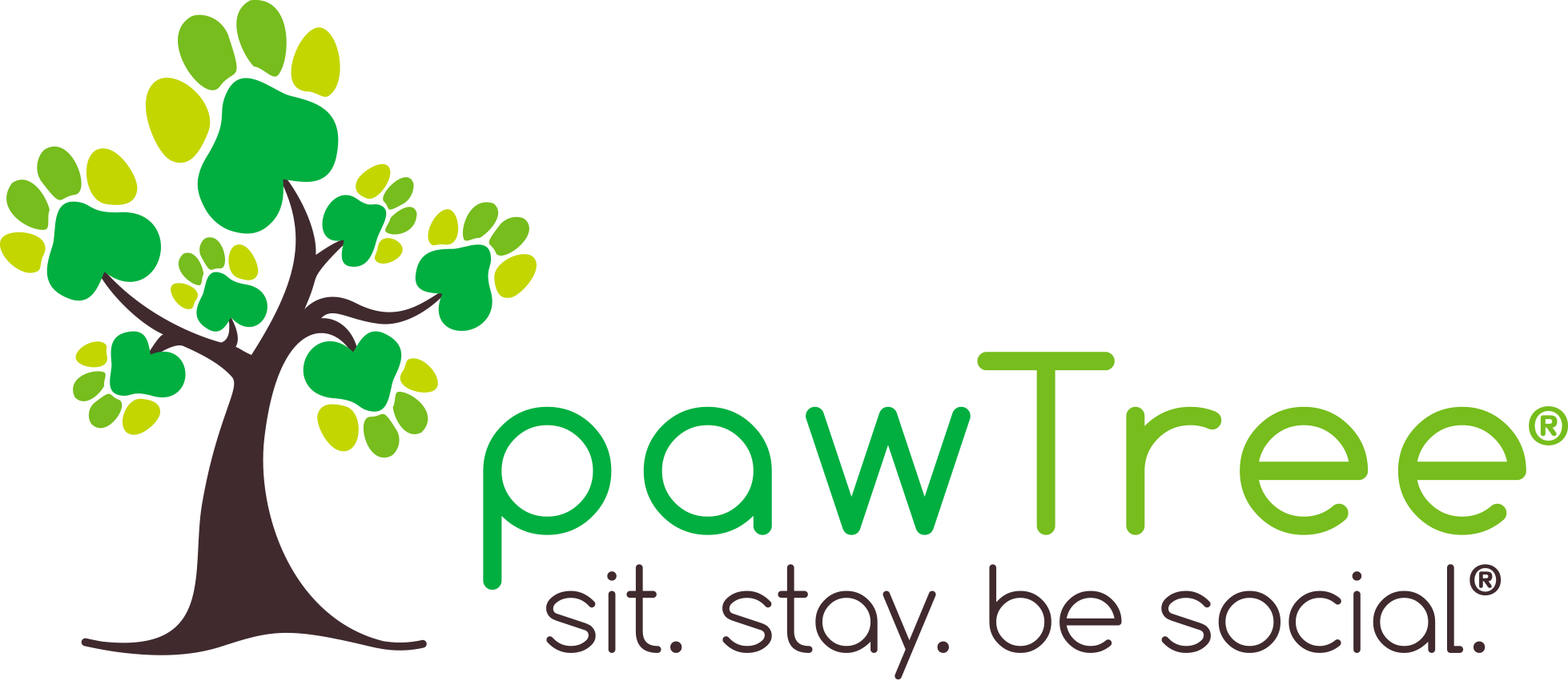 pawTree natural dog food and supplements