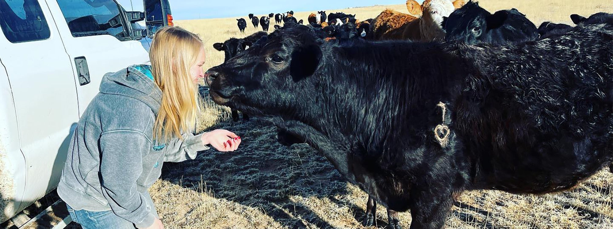 Hannah saying hi to the curious cows