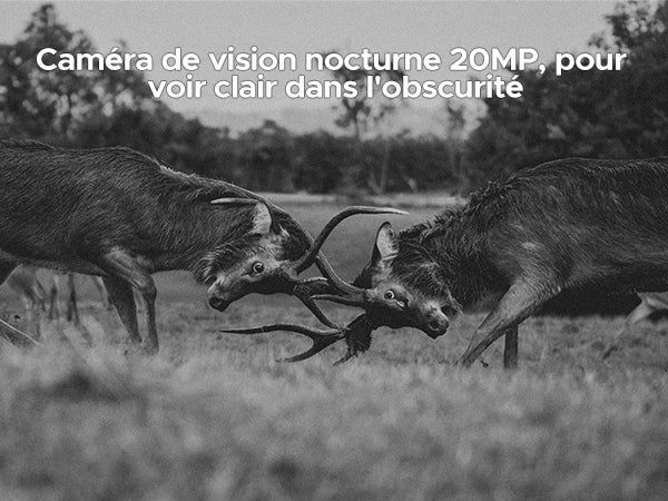 Doogee blade 20 play french mobile details