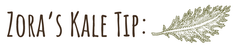 Slim, handwritten font that reads Zora's Kale Tip with a hand-drawn illustration of a kale leaf.