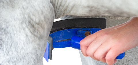 Does your horse need the standard gauge girth?