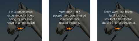 How safe is your headcollar