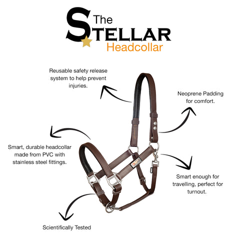 Stellar Headcollar