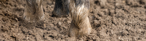 Winter Mud Defences with NAF