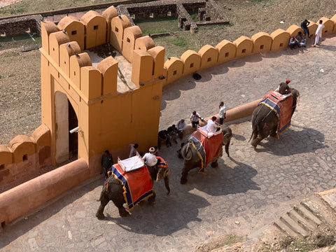 Elephant Ride at Amber Fort, Jaipur, India