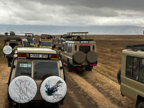 Safari vehicles at a viewing Ngorongoro Crater