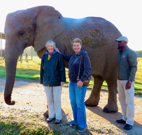 Knysna Elephant Park