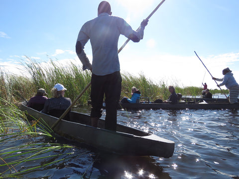 Mokoro Botswana