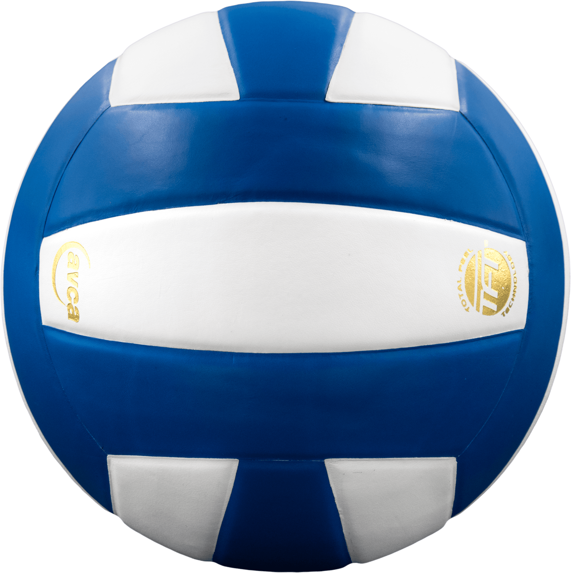 Perfection Leather Volleyball Baden Sports