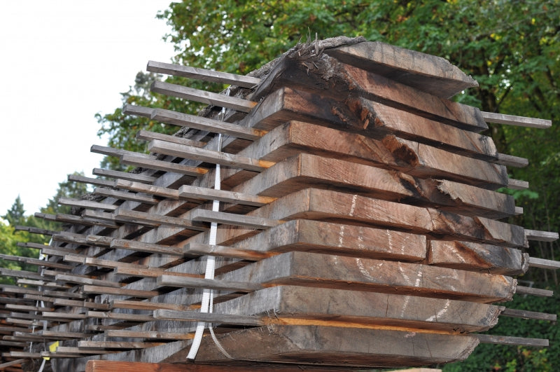 Walnut live Edge logs for The Joinery