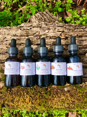 Red Clover Tincture Herb Extract Double Extraction - Red Cardinal Store