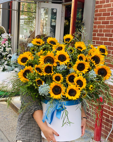 sunflowers