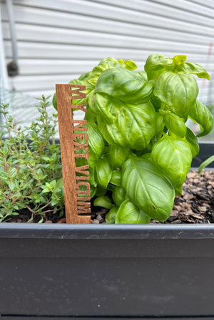 Funny Garden Stakes - OceanLily