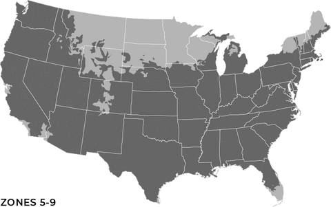 Hardiness Zones 5-9