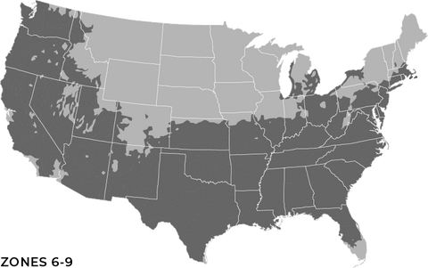 Hardiness Zone 6-9