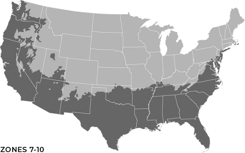 Hardiness Zones 7-10