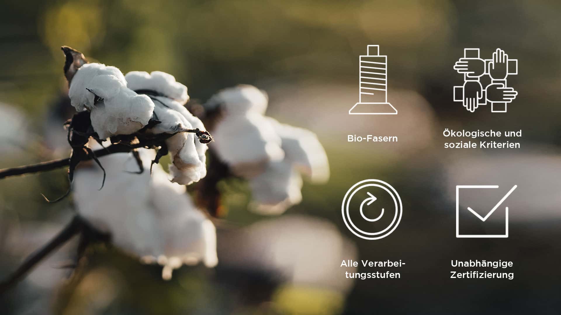 GOTS - the Global Organic Textile Standard