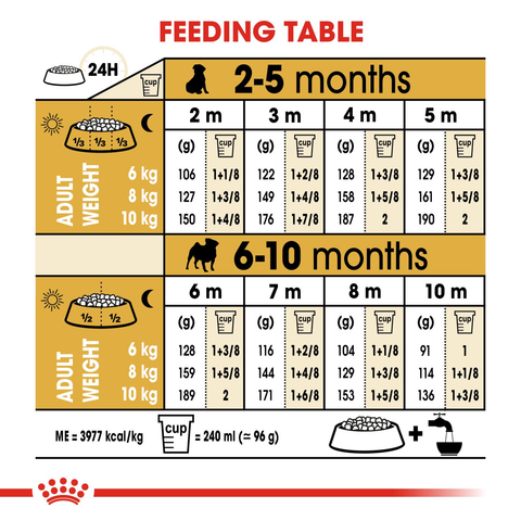 Royal Canin Pug Puppy 1.5 kg Dry Puppy Dog Food