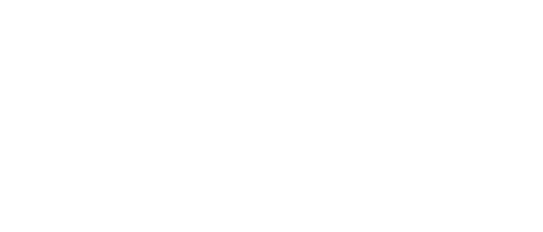 AVPro_Consultant_Compass_Logo_white-01