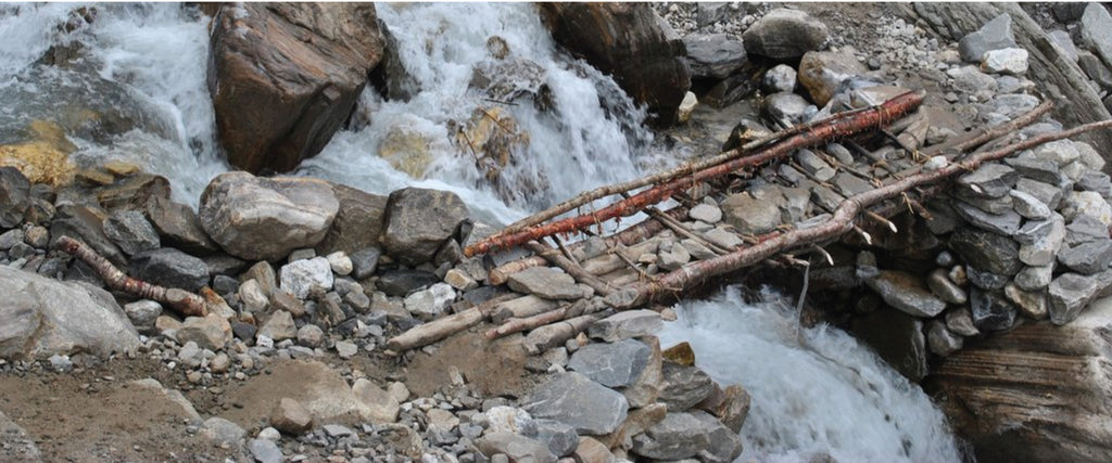 Annapurna base camp trail