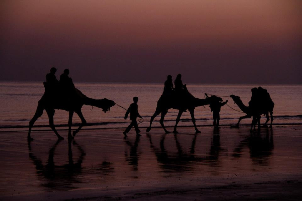 Rann of kutch