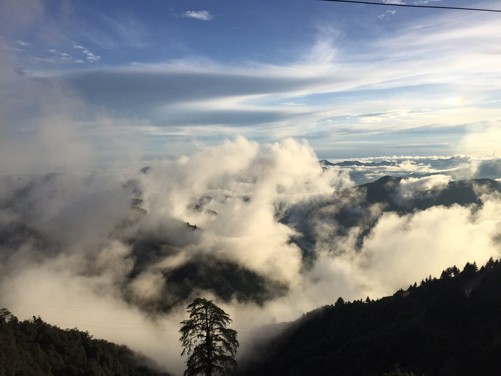 Chakrata hike