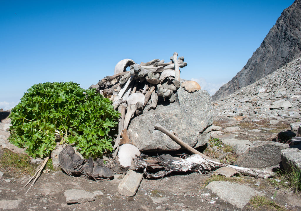 Roopkund trek image