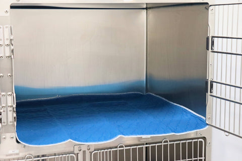 A pee pad being used in a veterinary practice kennel