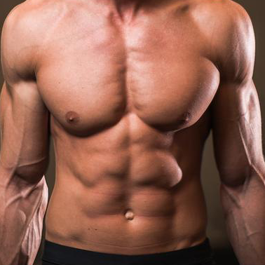 HOW TO BUILD AND MAINTAIN LEAN MUSCLE MASS