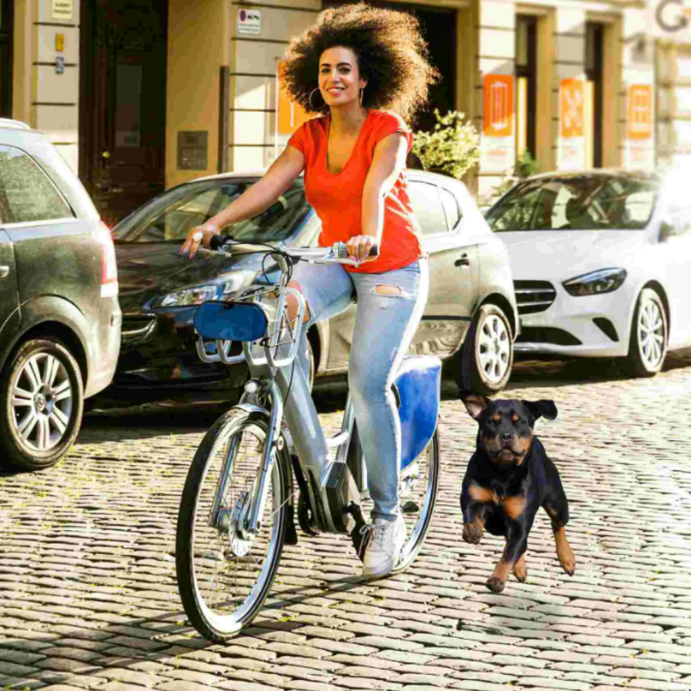 PoochPedalPal - Biking leash for joyful dog companions - As Seen On TV Deals product image