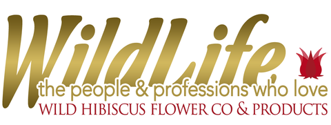 wildlife people and professions who love wild hibiscus
