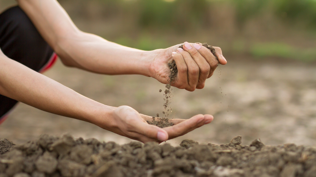 hands on field inspecting soil with hands