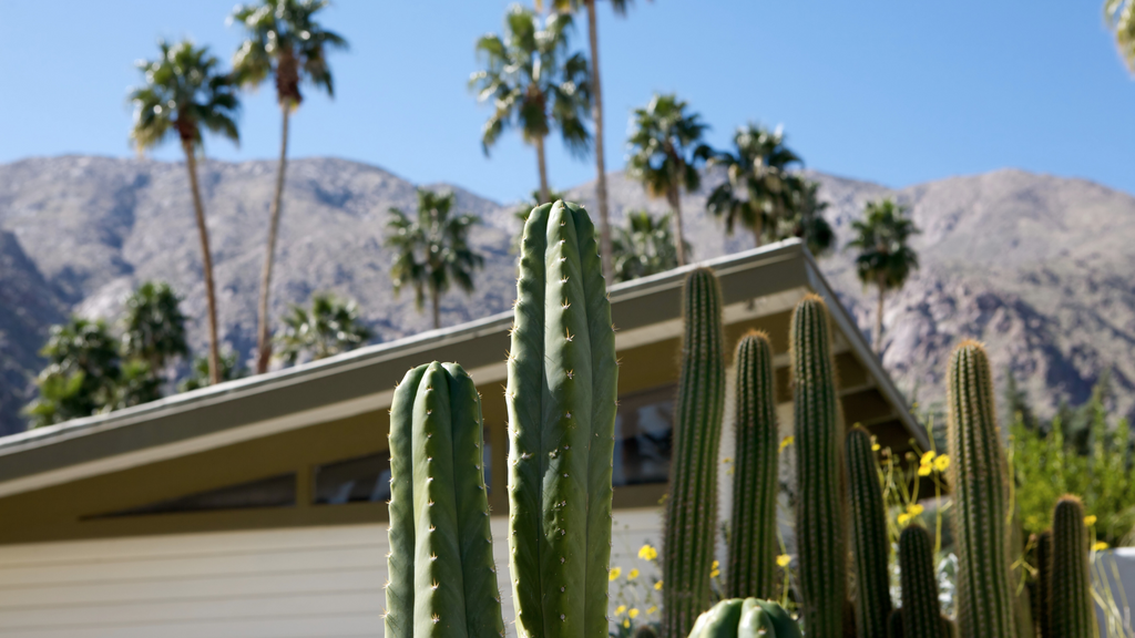 california desert home with cactus and mountain backdrop